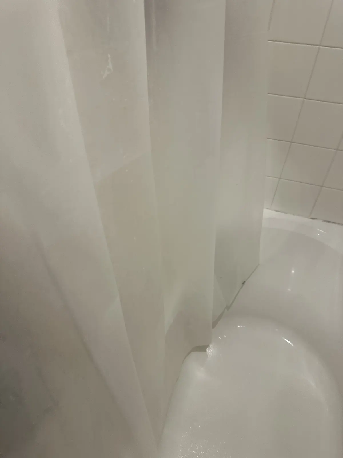 Shower, after cleaning