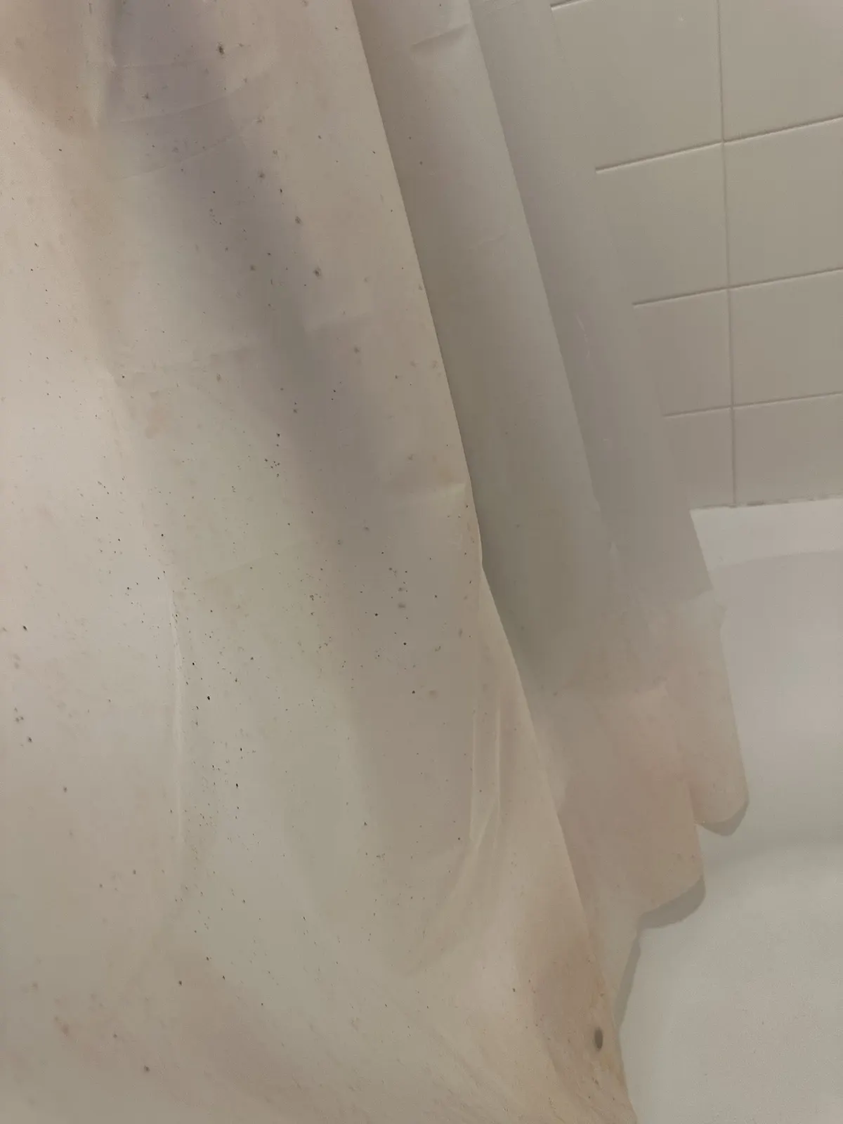 Shower, before cleaning