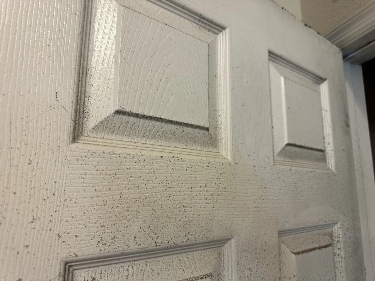 Door panel, before cleaning