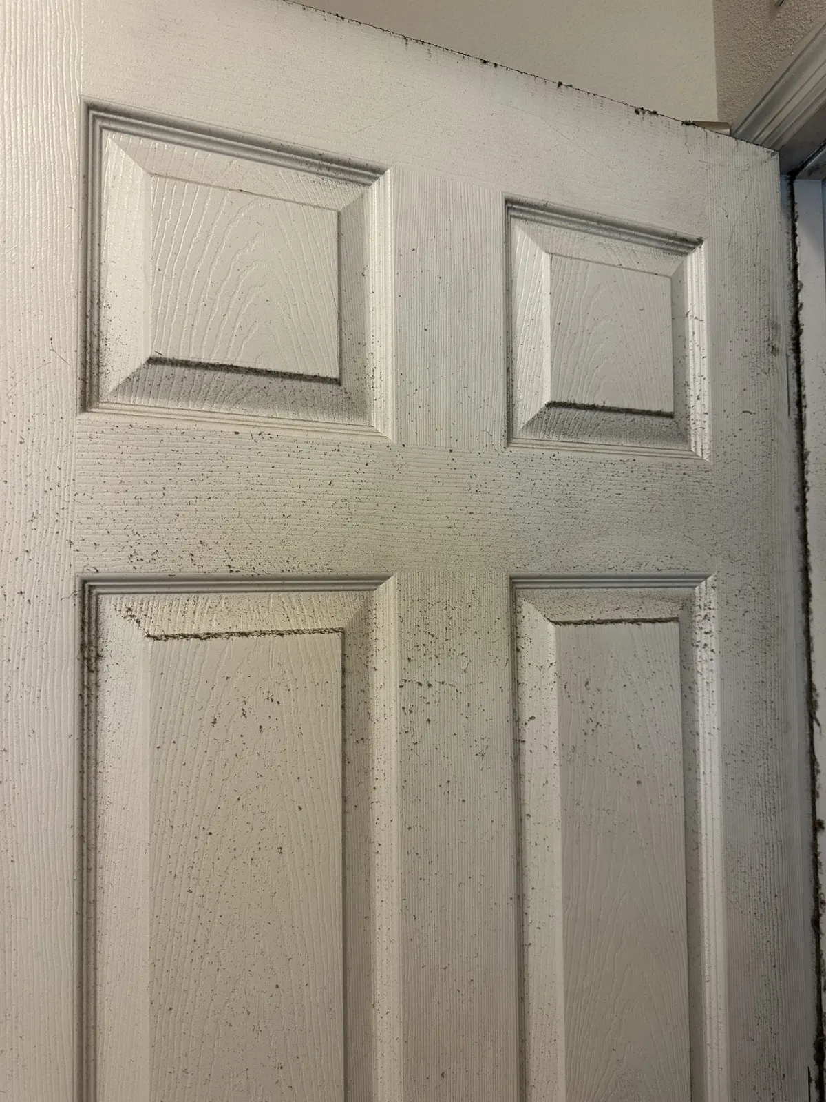 Door panel, before cleaning