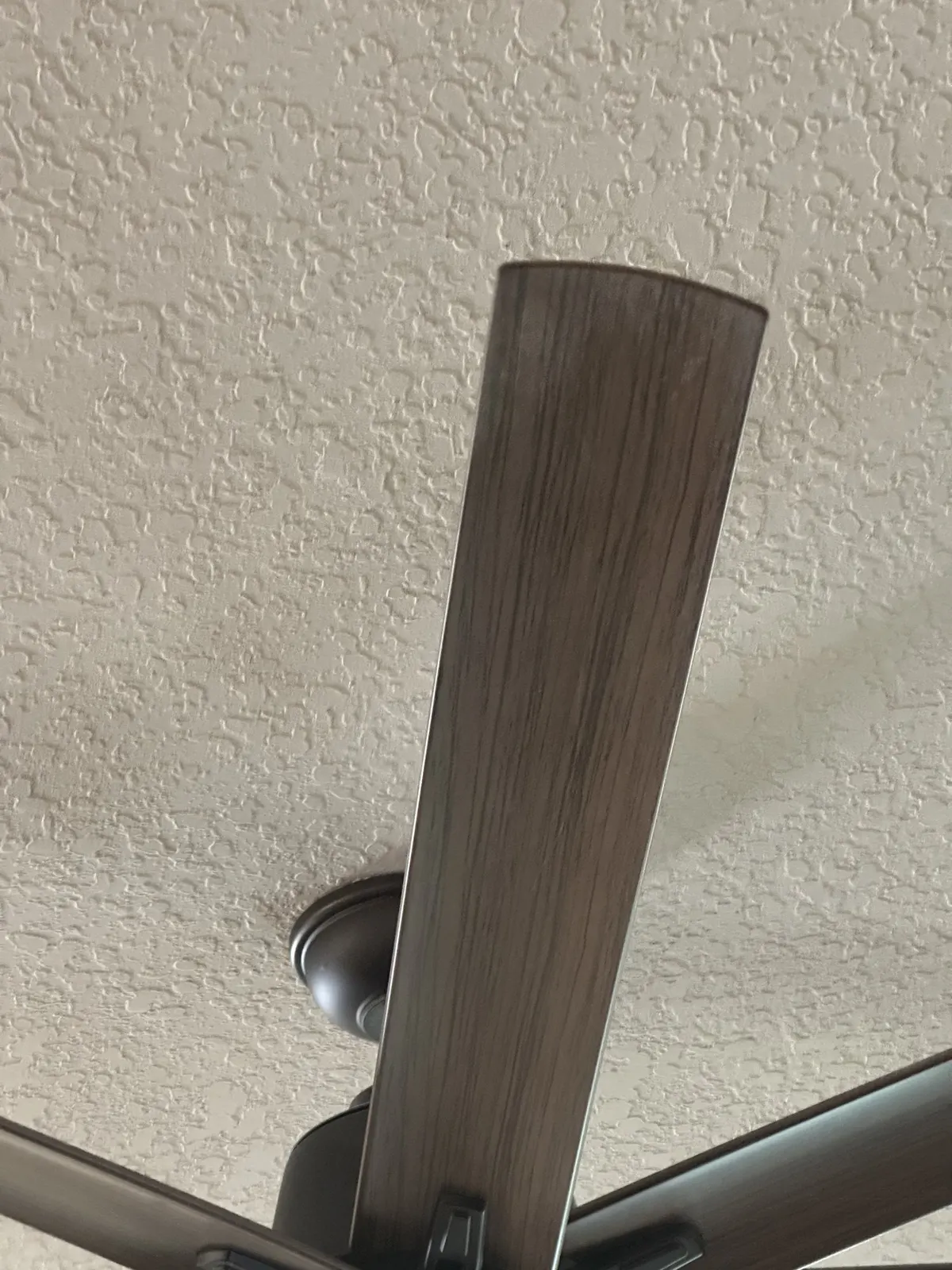 Ceiling fan blade, after cleaning
