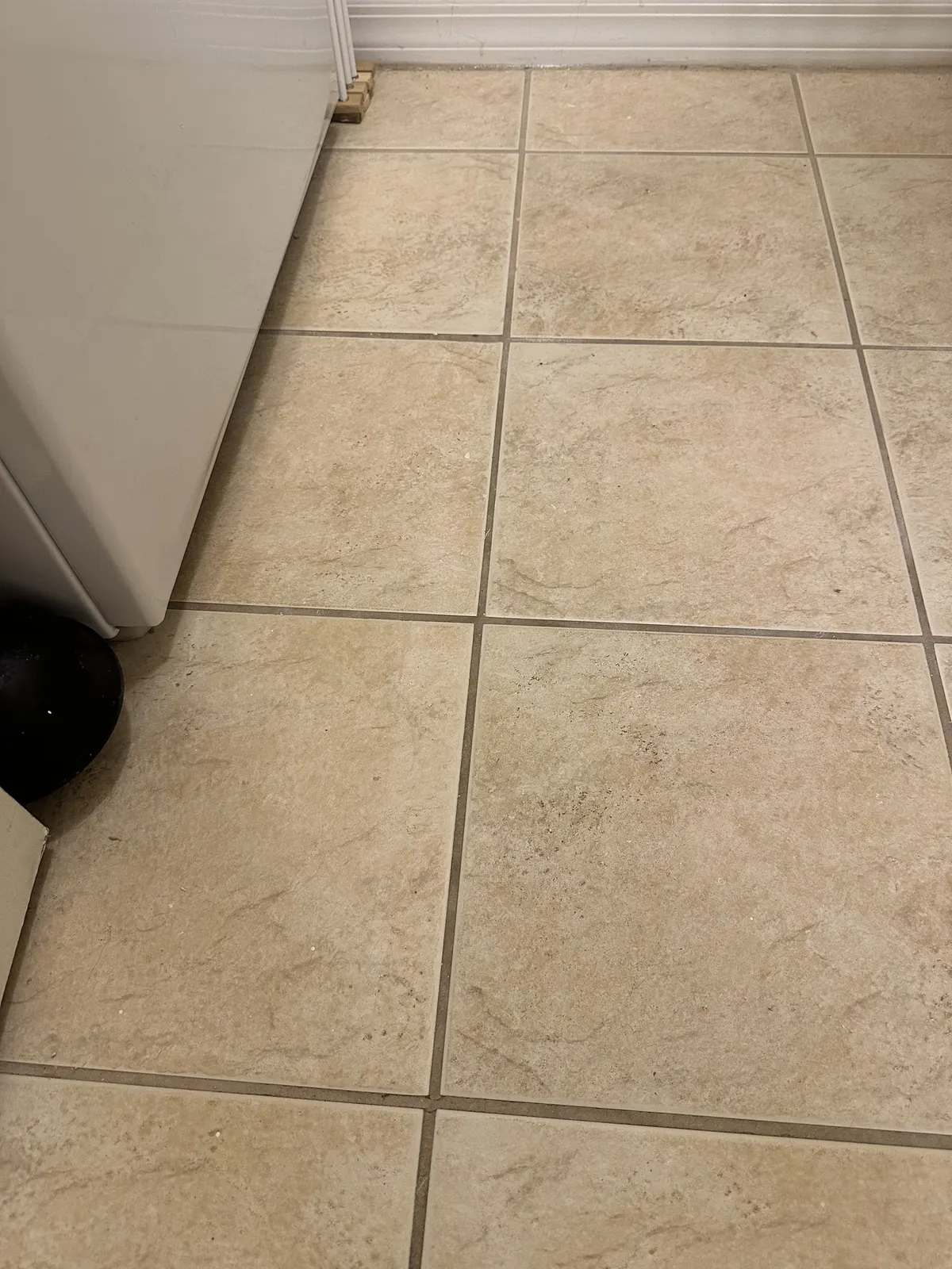Bathroom grout, before cleaning
