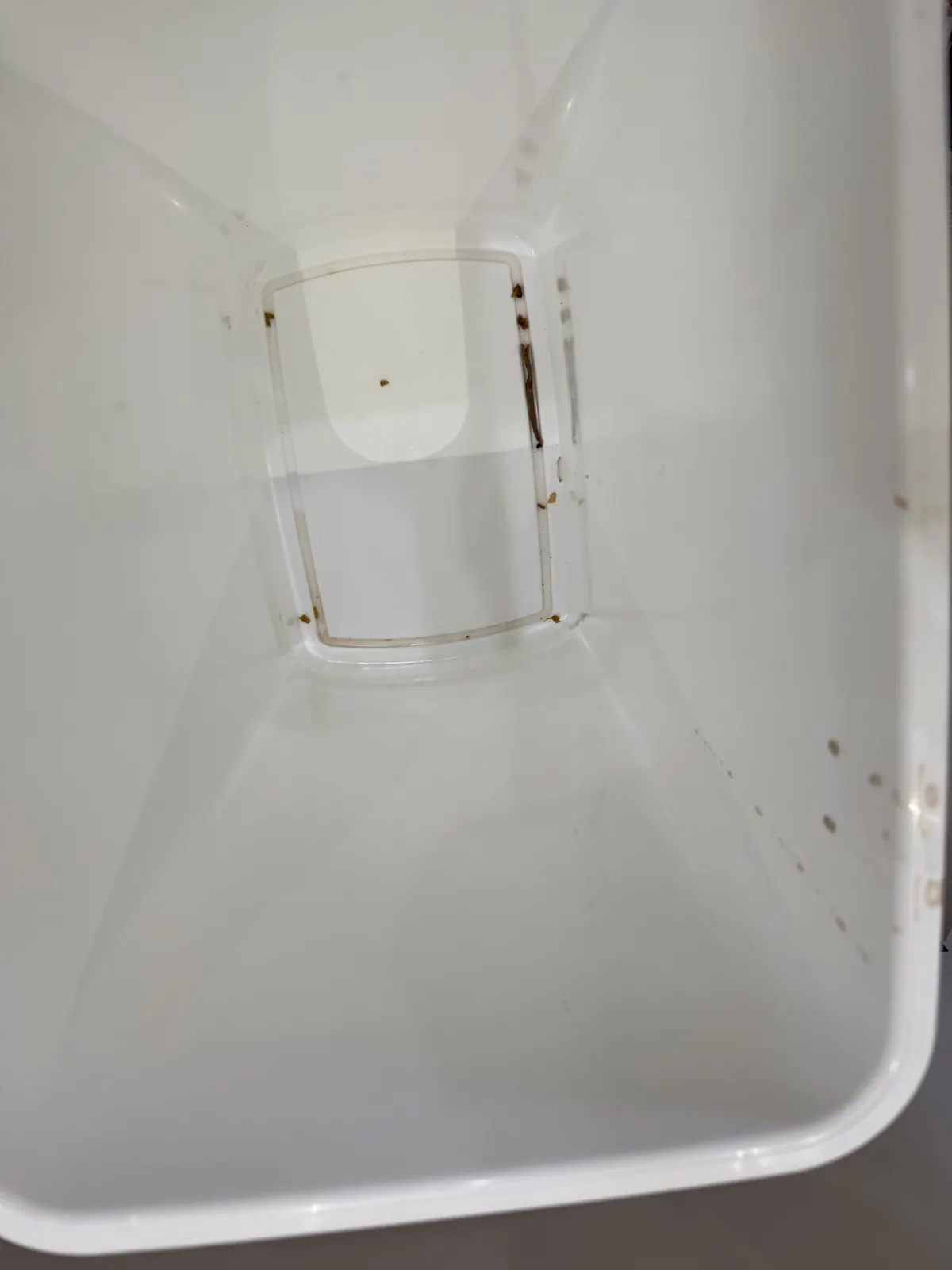 Pull-out bin, after cleaning