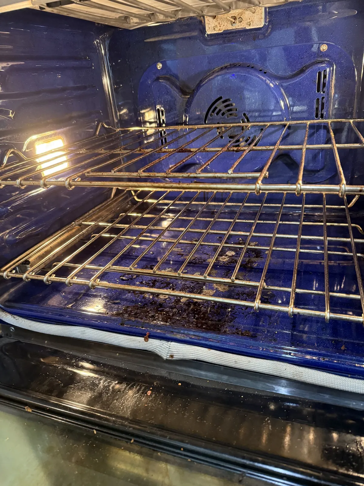 Oven racks and glass, before cleaning